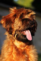 /album/fotogaleria/a4-april-jpg/